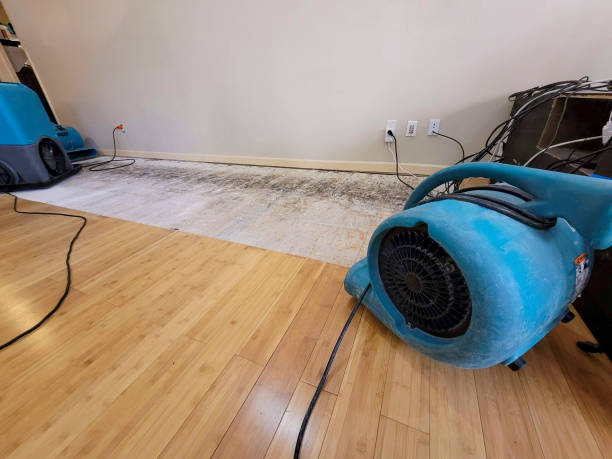 Professional Structural Drying technician working in Truesdale, MO